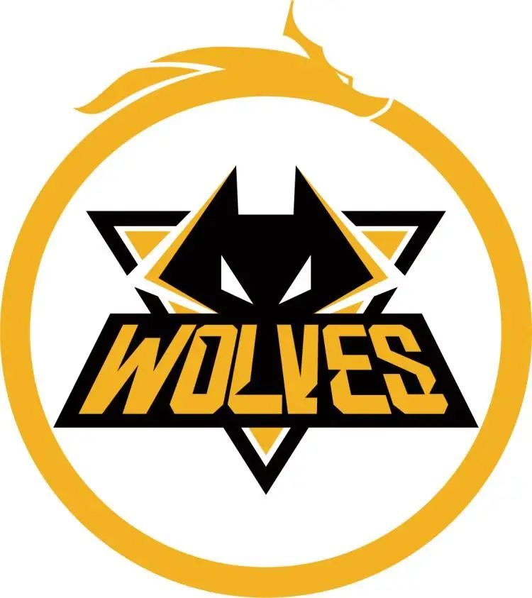 DVM粉丝与 Joblife 支持者在VALORANT Challengers 2025 France ：革命第二阶段引发冲突